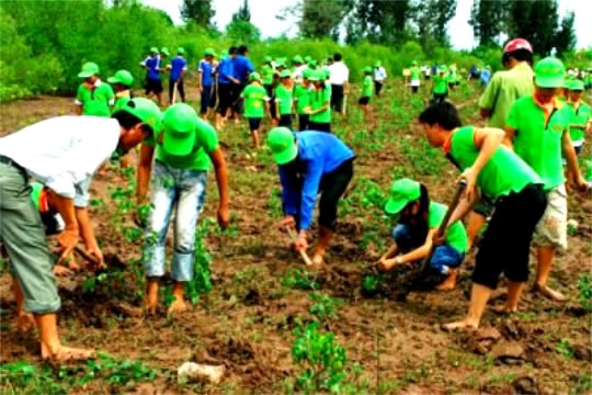 Dịch vụ xử lý môi trường Vinh Nghệ An